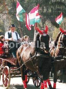 Etnic maghiar defiland la Sfantu Gheorghe de Ziua Maghiarilor